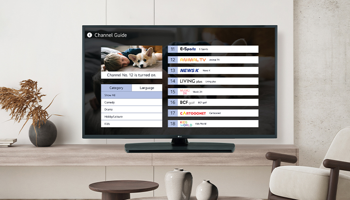 LG Pro:Centric Cloud offers LG Channels for free on hotel TVs, and the image illustrates this example.