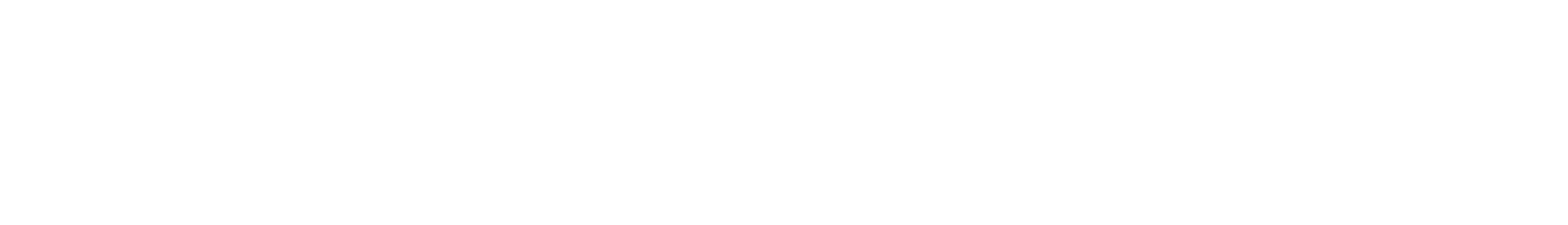 Magnit logo shop