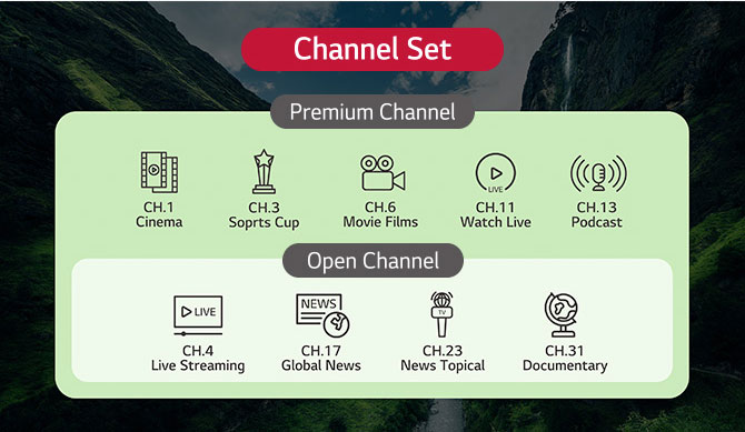 TV channels provided by the solution can be categorized into groups based on their types. This includes setting up both standard TV channels and additional channels exclusive to premium customers.